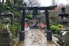 enosima