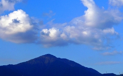 ooyama